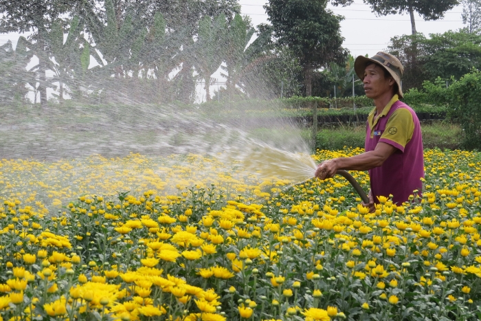 Refresh in Sadec flowers village in your 7-day Mekong Delta trip